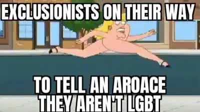 Fuck exclusionists all my homies think aroaces are valid