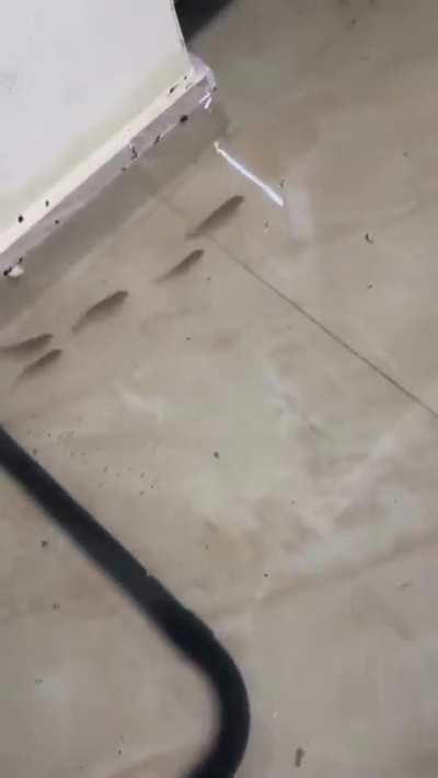 bora morar na roça galera