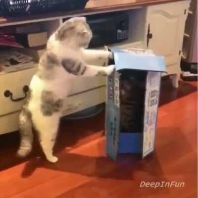 Hyper-intensity ENGAGE!