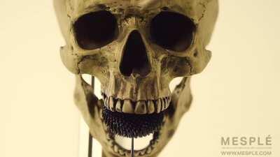 Art piece made with ferromagnetic fluid