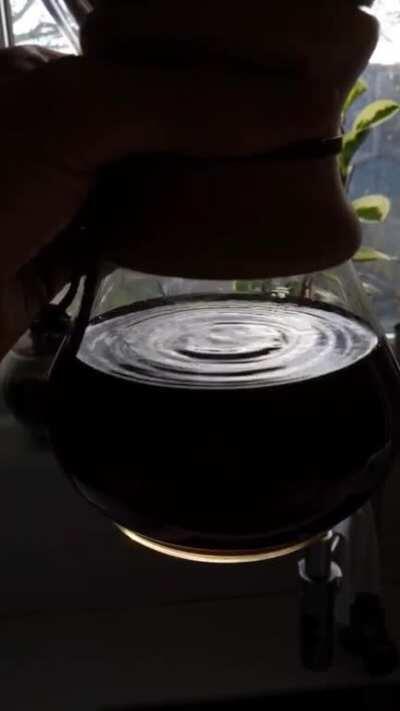 The surface tension of my morning coffee