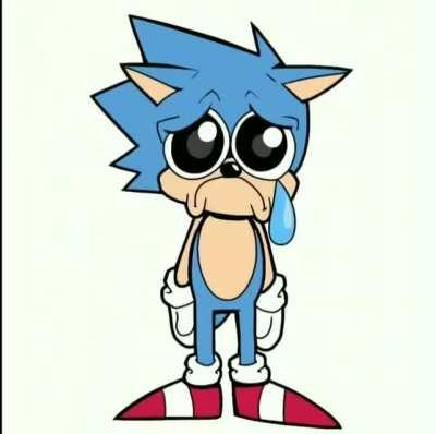 Sonic fans when literally anything happens