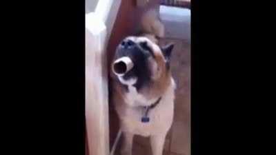 Todos los días como a las 3 de la tarde [OC]