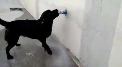 Honey... why is the water bill $8,000!