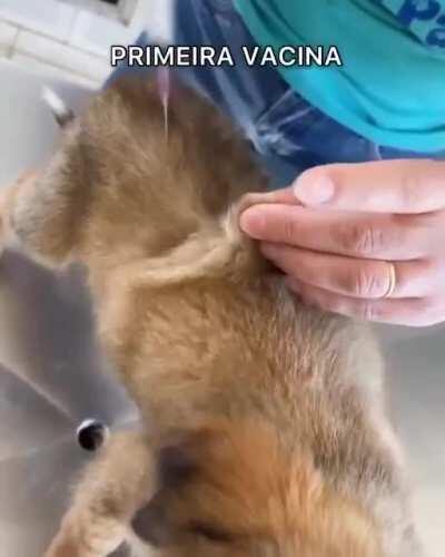 Acompanho e acho que esse cara cria um conteúdo legal/autêntico no Tik Tok... Ganhou um pouco mais do meu respeito depois desse vídeo... Legal ver gente que faz o bem sem ver a quem... Dá uma pontinha de esperança em meio a tudo isso que vivemos desde sem