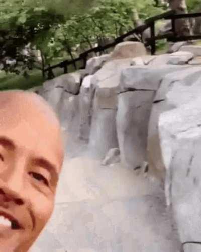 Blursed_rock