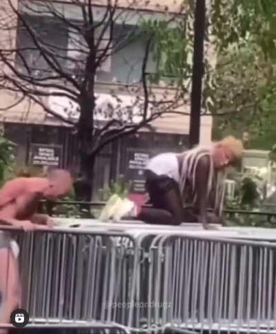 Welcome to Jurassic Park.