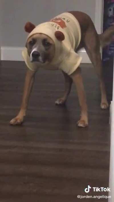 Not sure if he likes it...