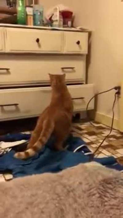 Goat spawner in the shape of a drawer. +Infinite goats +10 Charisma