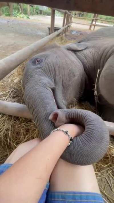 They need some assurance too