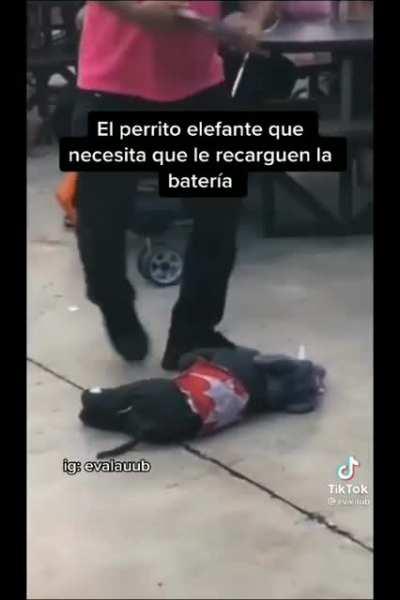 Who got you smiling like that?