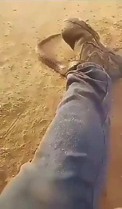 Here's another fine mess I've gotten myself into...