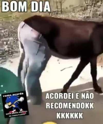 BOM DIA, MAS SÓ PRA QUEM SEGUE A RELIGIÃO DO SUPER XANDÃO 😎