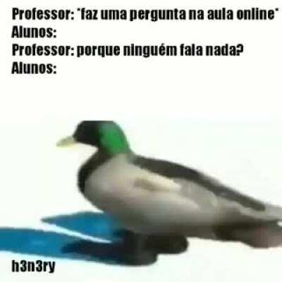 O meme e cringe e saturado mas tem uma questão q o torna interessante e.....TEM UM PATO GIRANDO COM MUSICA DE FUNDO