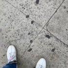 Hey there mr butterfly