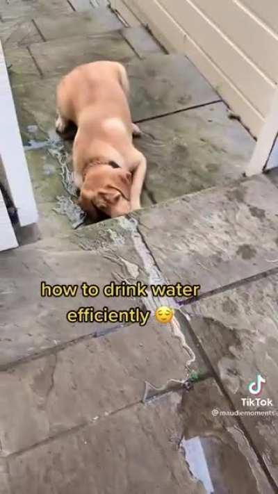 Efficient water drinking