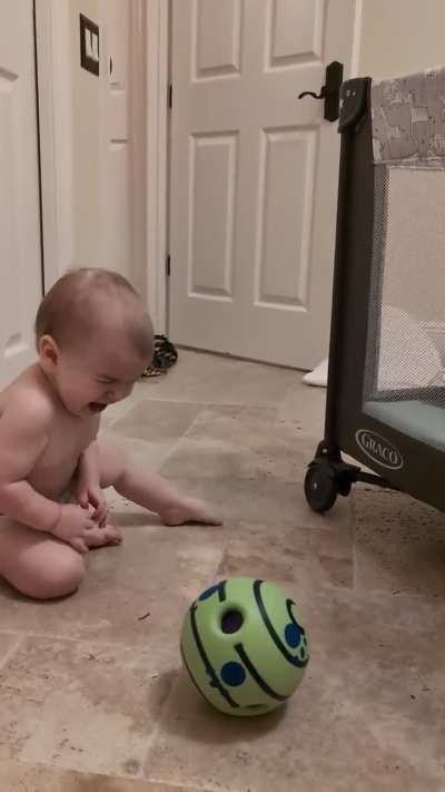 A video clip of when I found out my baby is terrified of this noise-making ball toy