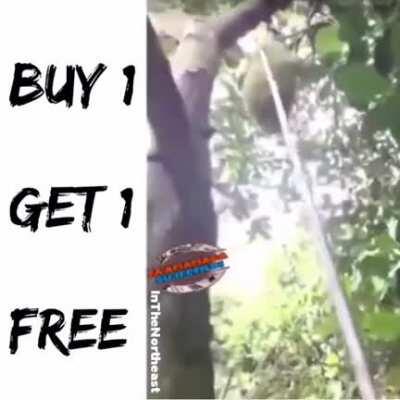 sorry for bad quality