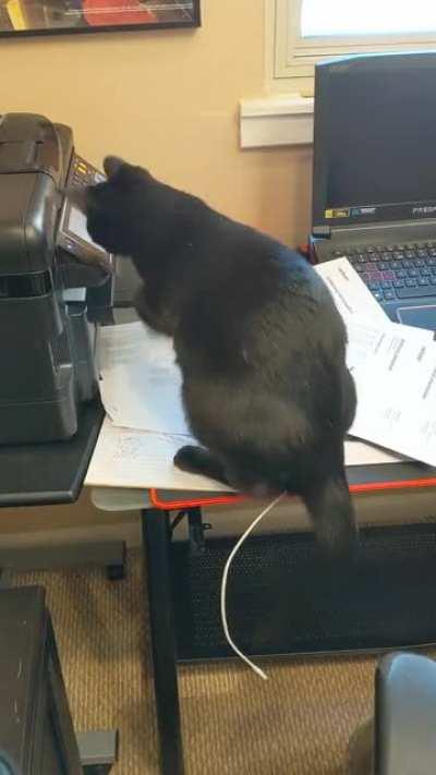 Bad office assistant