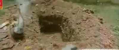 Forbidden pole vault