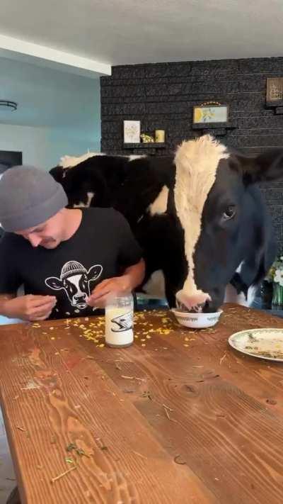 Just a guy and his weird dog