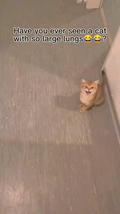 MEAAAAAAAAAAAAAAAAAAAAAAAAAAAAAAAAAAAAAAAAAAAAAAAAAAAOW