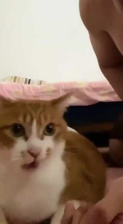 How bad his breath smell with that reaction