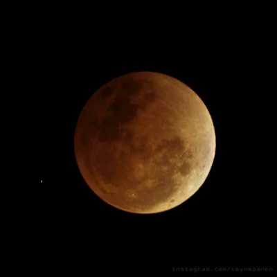 Total Lunar Eclipse