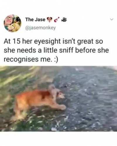 made me cry actually, soooo good