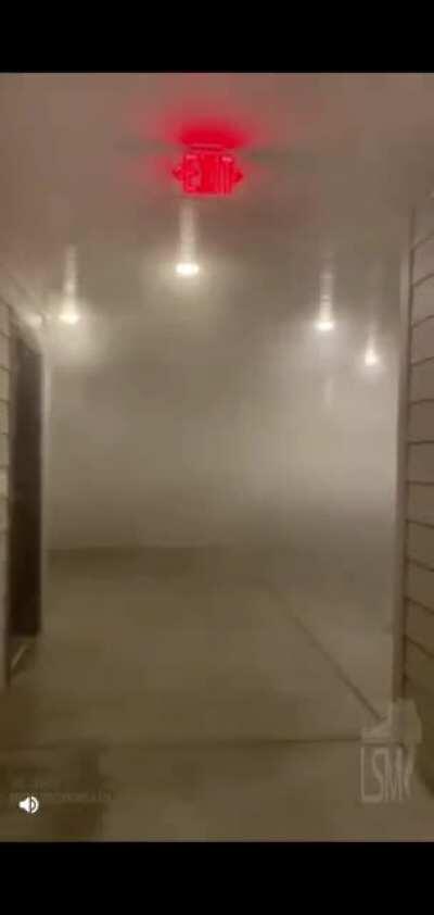 This is like a super aggressive version of Steven King's 'The Mist'...