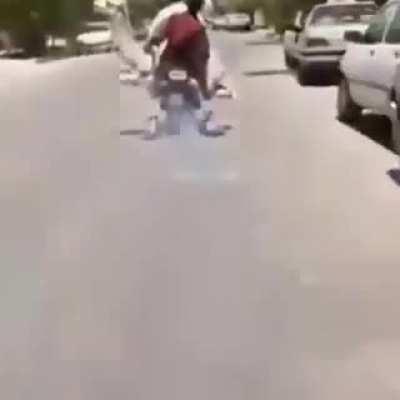 Camel Delivery Incoming!