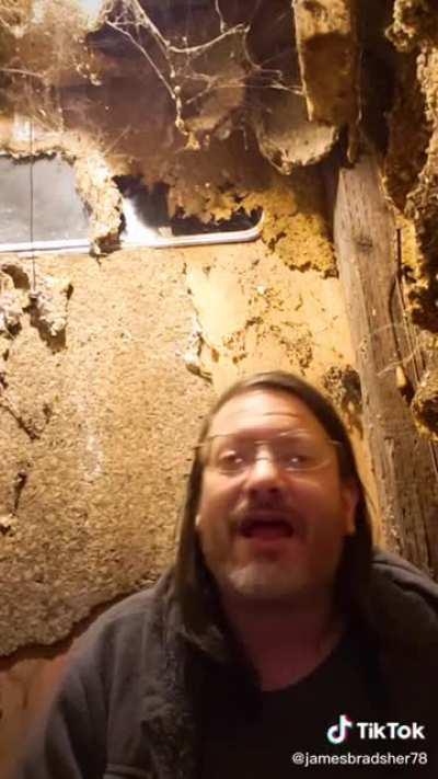 I get very specific vibes from him 😬