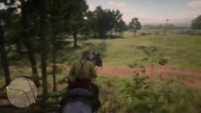 This is my first post and well just see for yourself what happened