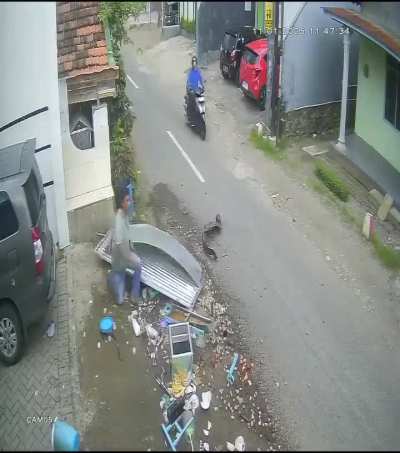 Food truck vs hit and run