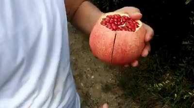 Peel a pomegranate