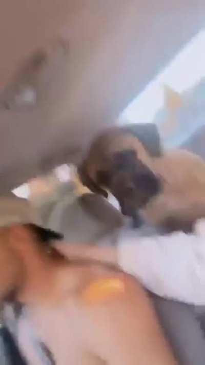 Какое замечательное семейное путешествие.