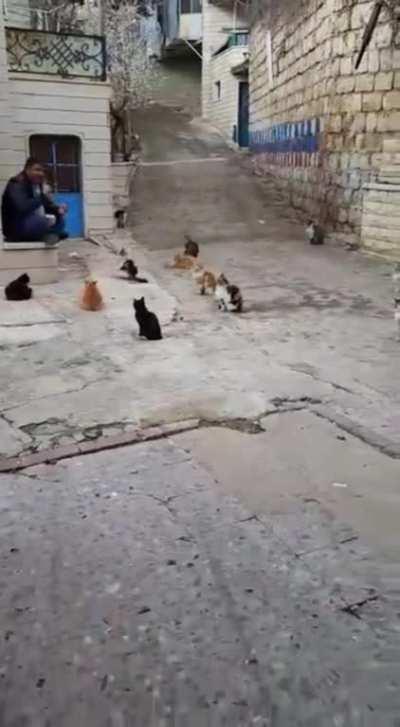 Look how attentive they are in the class