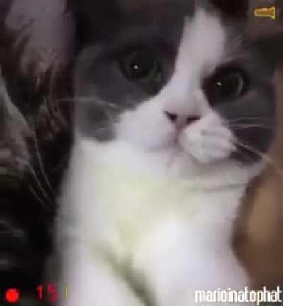 A classic (not mine I only found it on facebook)