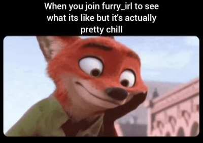 fuzzy_irl
