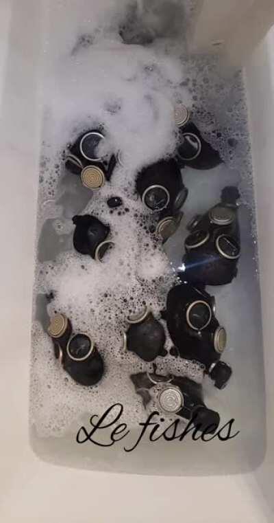 Shitpost streak boys.