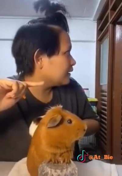 What was that sound?