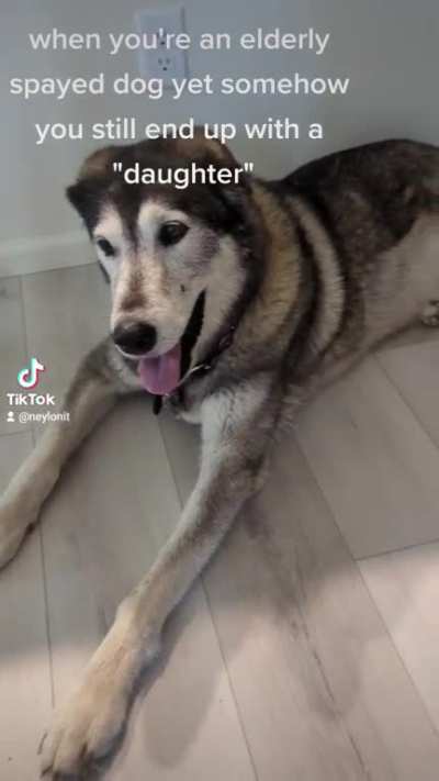 Maya gets a puppy ...