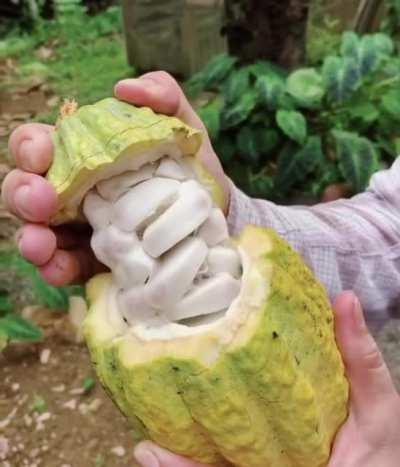 Now what fruit is this 🧐