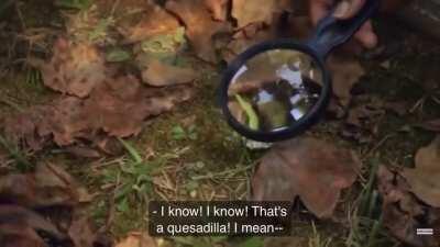 The gold you find on wife swap