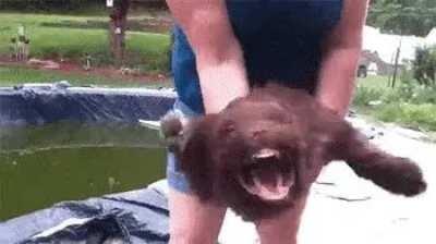 Me internally When I have to wait for a customer to slowly count out change at the front, while I hear someone ordering 7 bacon sausage wraps I have to put in the oven