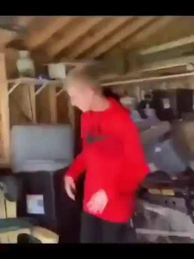 resident evil 7 (2017)