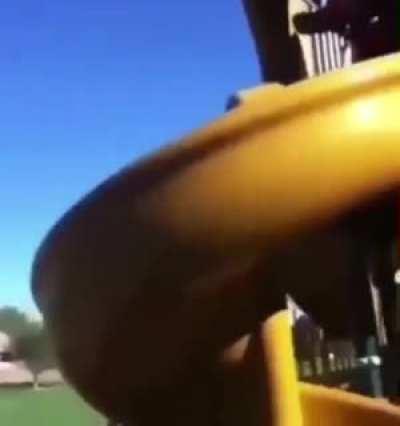 What did they expect