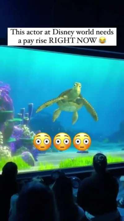 Gerard scarred Crush.