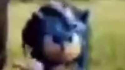 What in the got dam 🦫