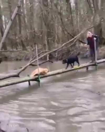Maybe Maybe Maybe